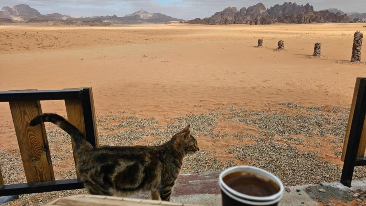 Bedouin Life Camp Ξενοδοχείο Ουάντι Ραμ Εξωτερικό φωτογραφία